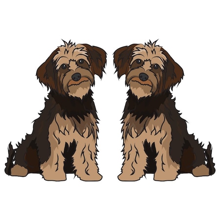 Signmission Yorkipoo Dog Decal, Dog Lover Decor Vinyl Sticker D-24-Yorkipoo